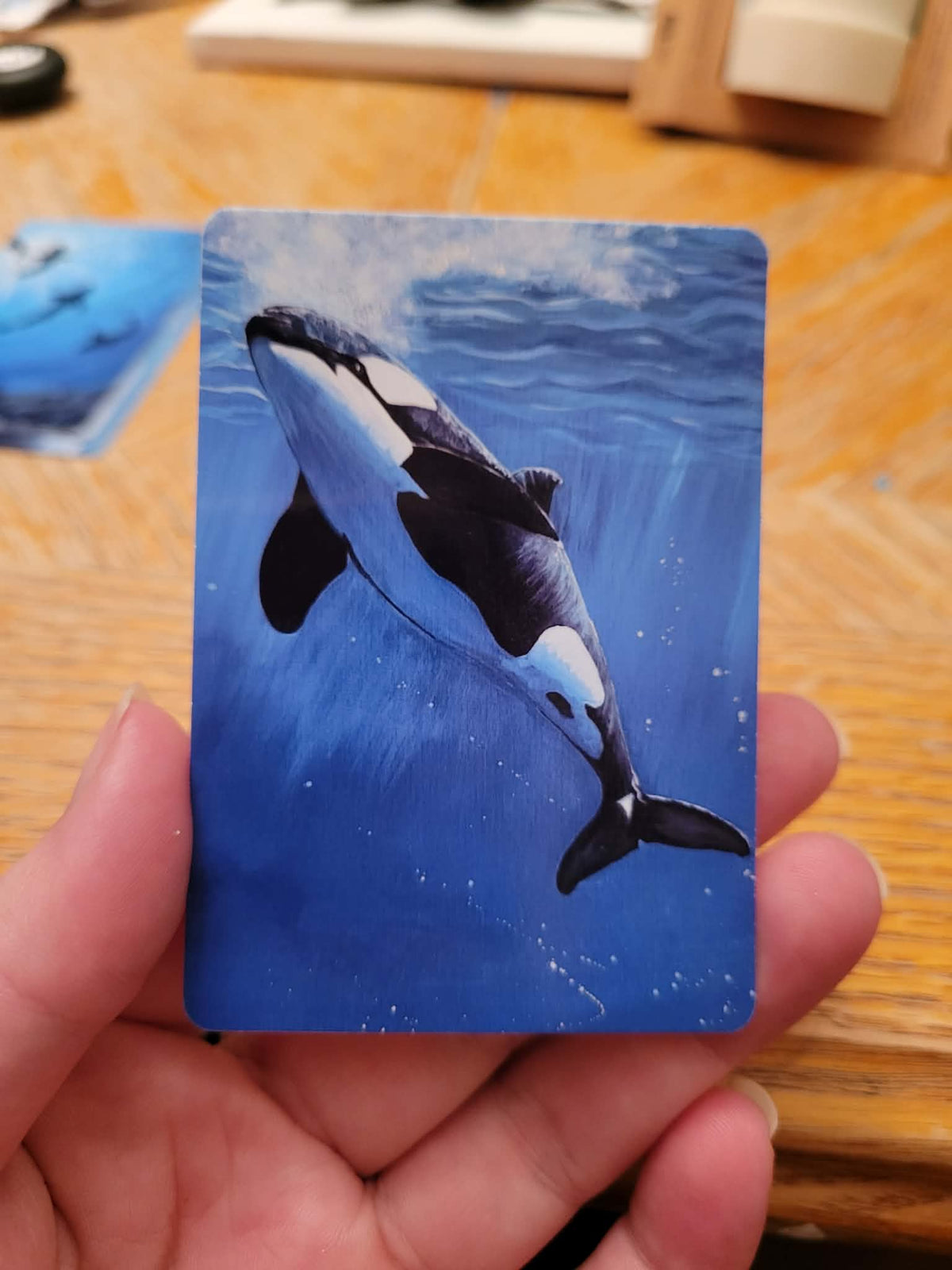 Bubbly Orca Print Wallet
