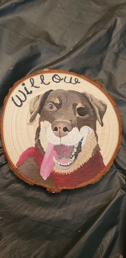 Custom Hand-painted Pet Ornaments