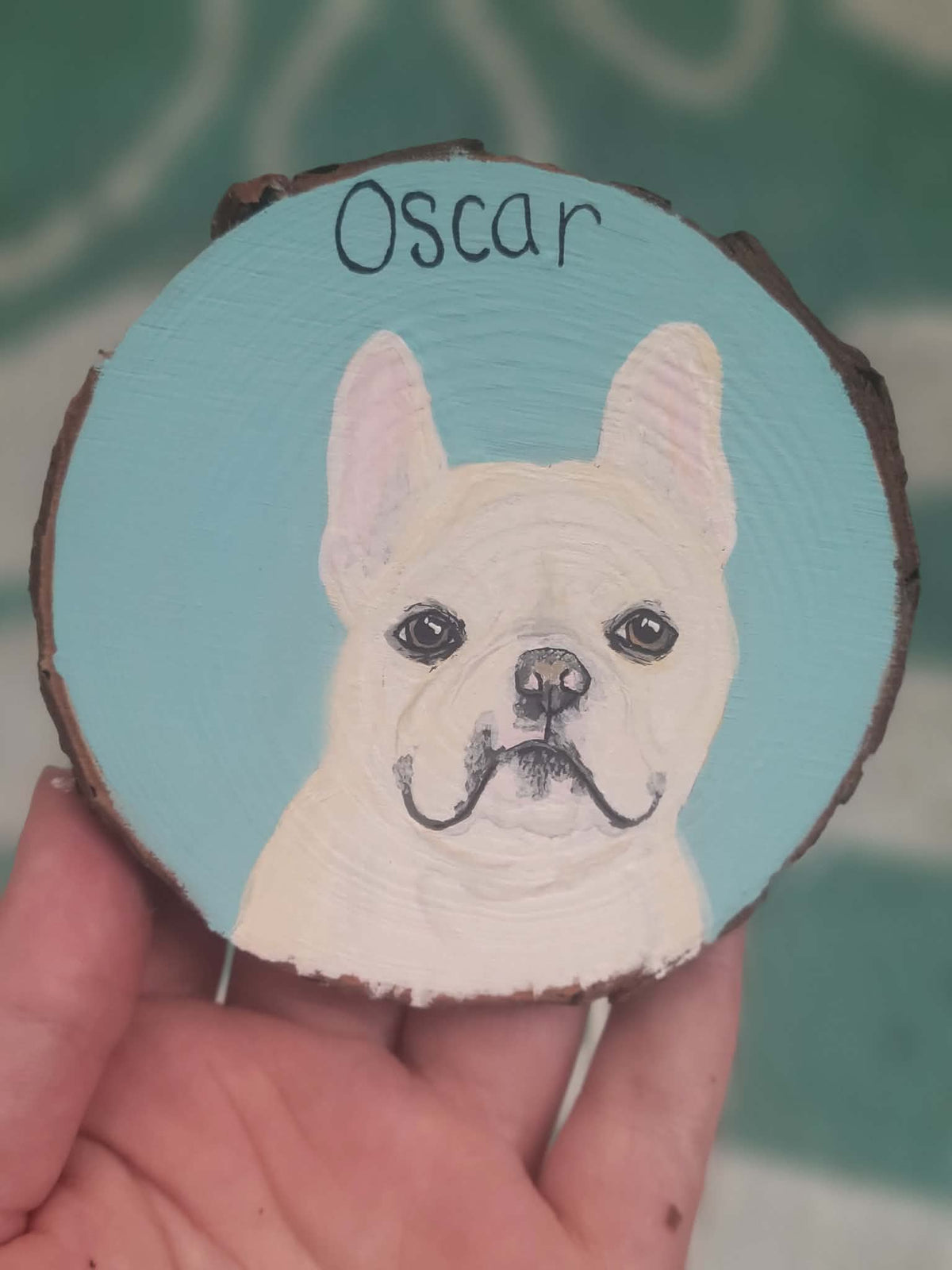 Custom Hand-painted Pet Ornaments