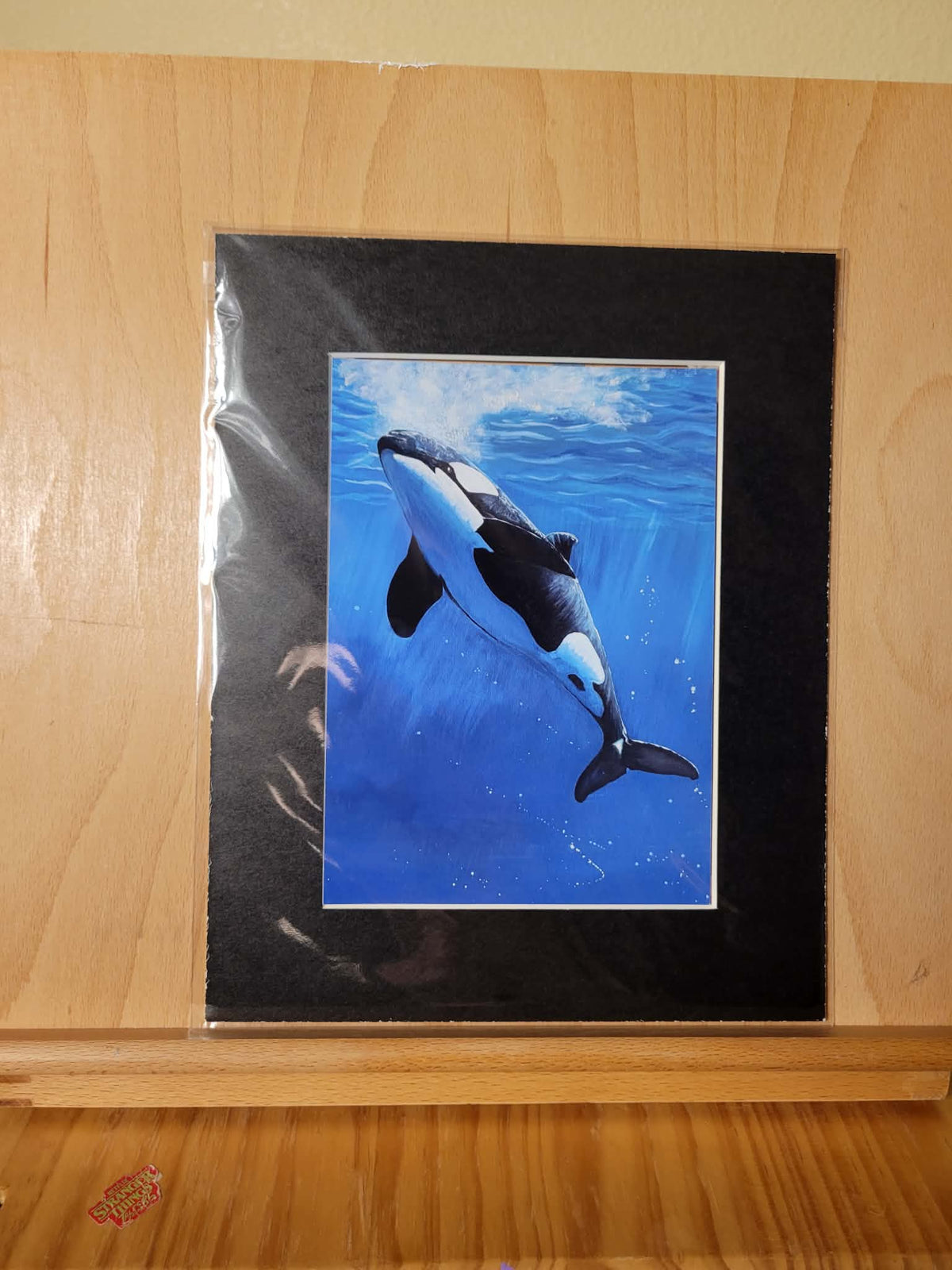 Bubbly Orca Print  8x10” Matted