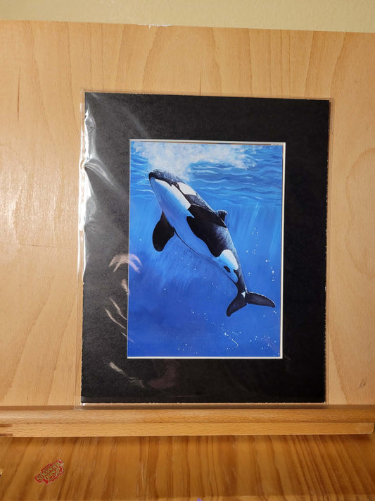 Bubbly Orca Print  5x7” Matted