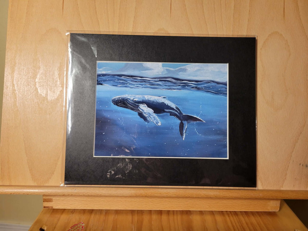 Tranquil Humpback Print  8x10” Matted