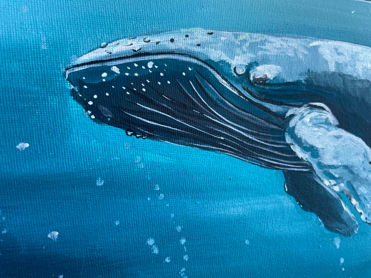 Tranquil Humpback Original Acrylic Painting