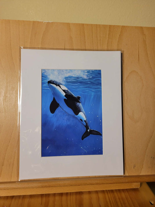 Bubbly Orca Print  5x7” Matted