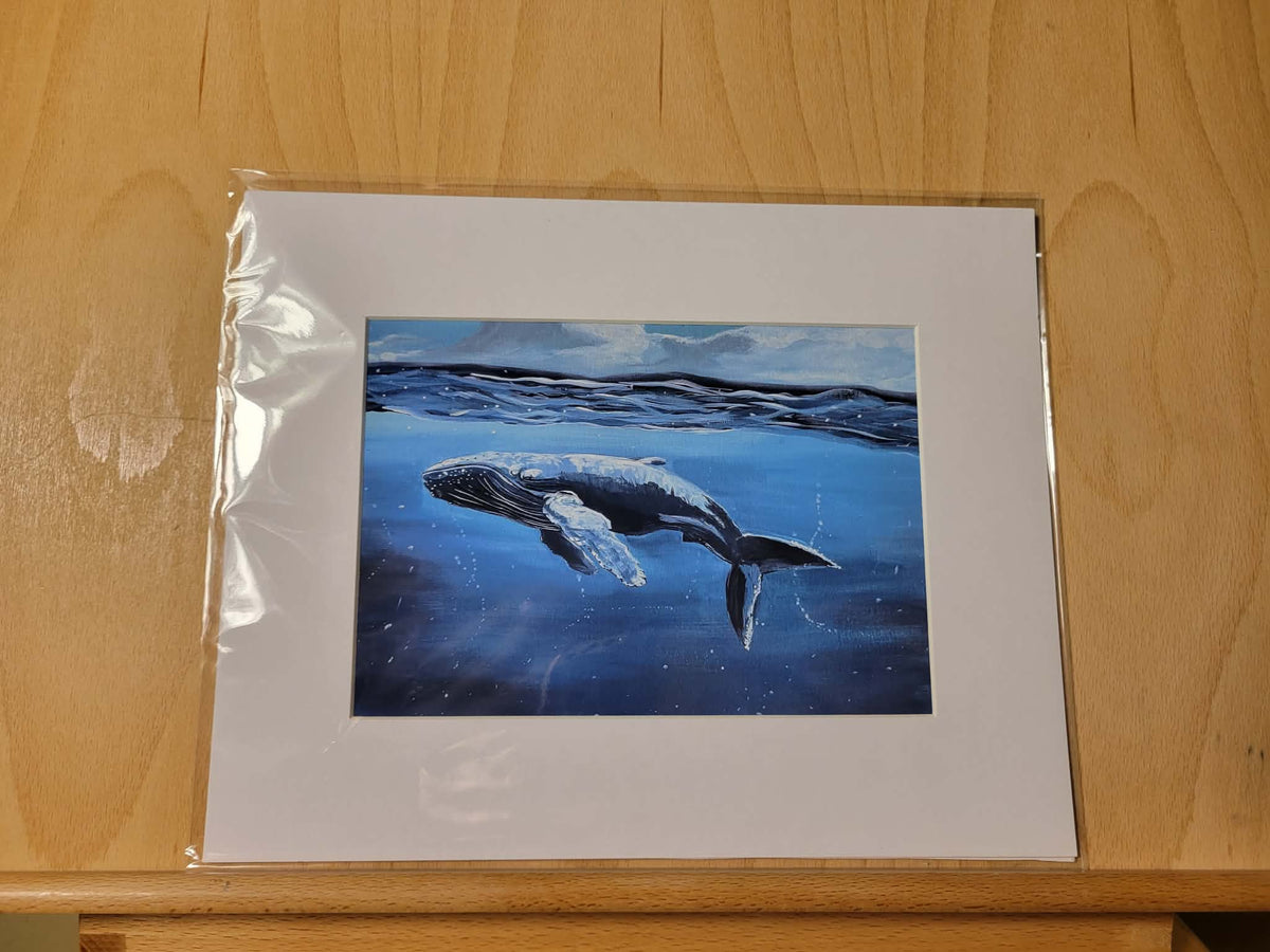 Tranquil Humpback Print  5x7” Matted